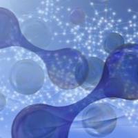 Q1000全定量代谢组