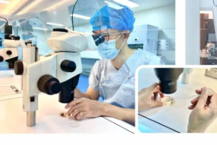 致敬胚胎学家——「试管婴儿」的幕后英雄