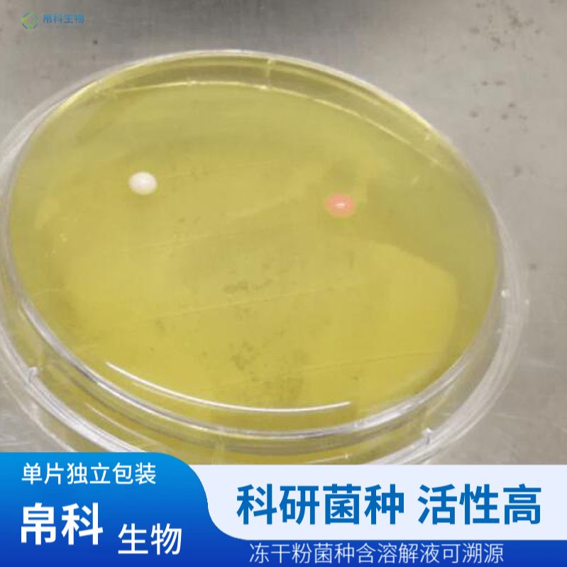 荧光假单胞菌生物型F