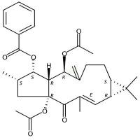 大戟因子L3  CAS号：218916-52-0