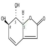 格列风内酯 CAS号:61371-55-9