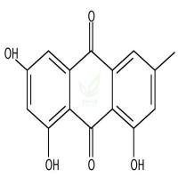 大黄素 CAS号:518-82-1