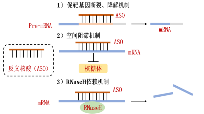 新药浪潮之寡核苷酸药物 - 企业动态 - 丁香通