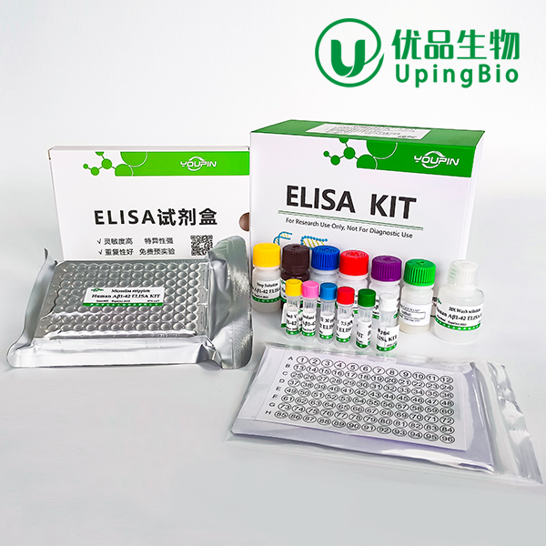 小鼠D-二聚体(D2D) ELISA试剂盒