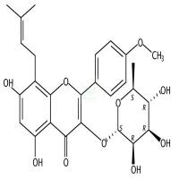宝霍苷I  CAS号：113558-15-9