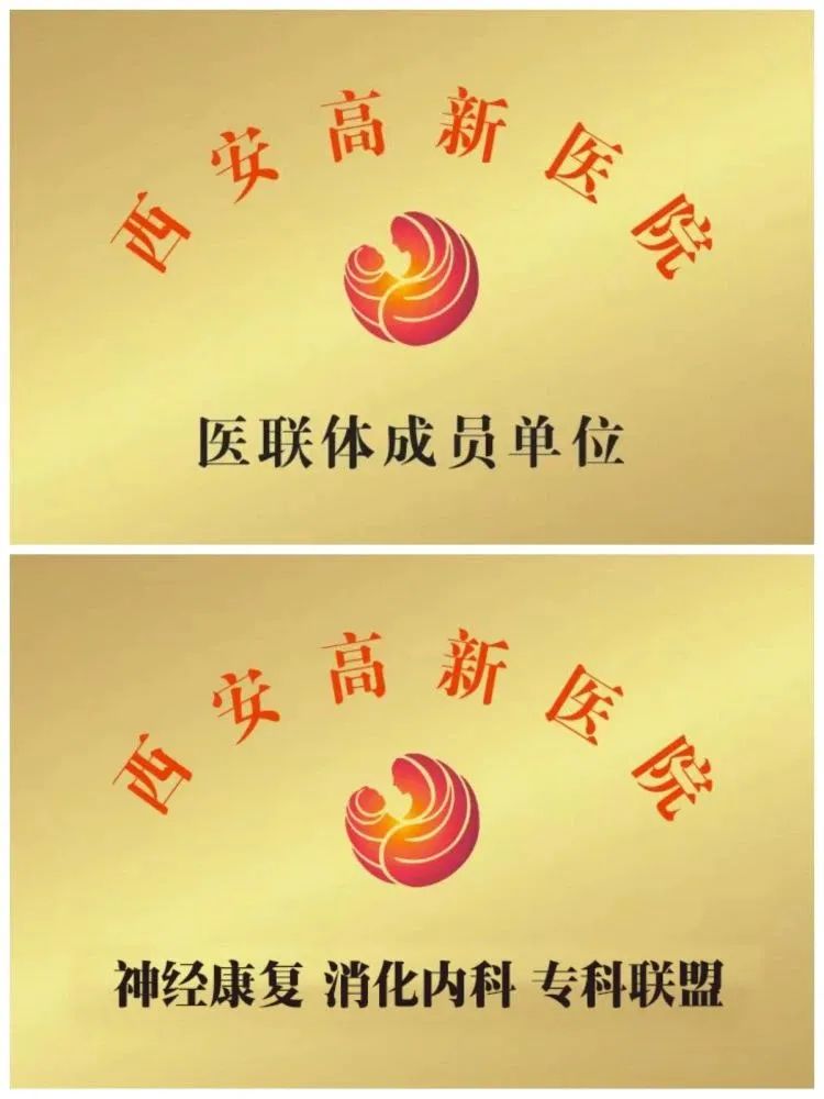 西安高新医院与巴彦淖尔市慈善医院达成「医联体成员单位」「神经康复、消化内科专科联盟」并开展大型义诊活动