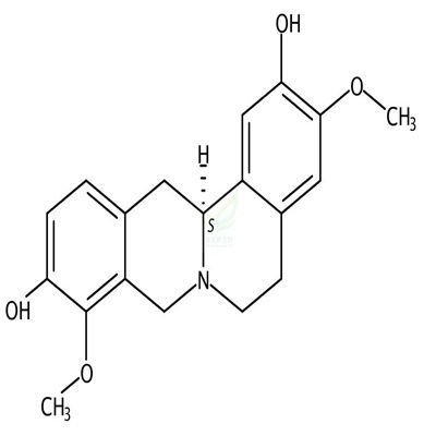 左旋千金藤啶碱  L-Stepholidine