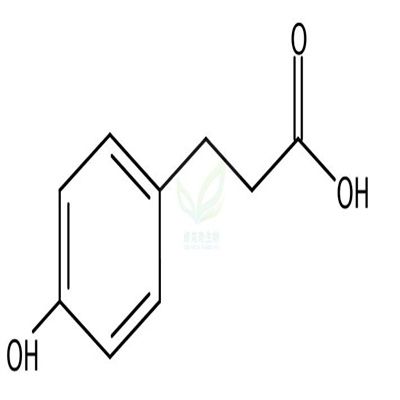 Phloretic acid  CAS号：501-97-3