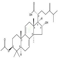 去氢茯苓酸  CAS号：77012-31-8