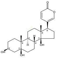 远华蟾毒精  CAS号：472-26-4