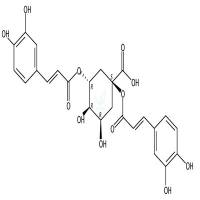 1,3-二咖啡酰奎宁酸  CAS号：19870-46-3