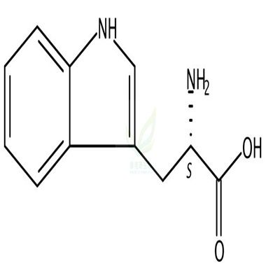  L-色氨酸  CAS号：73-22-3