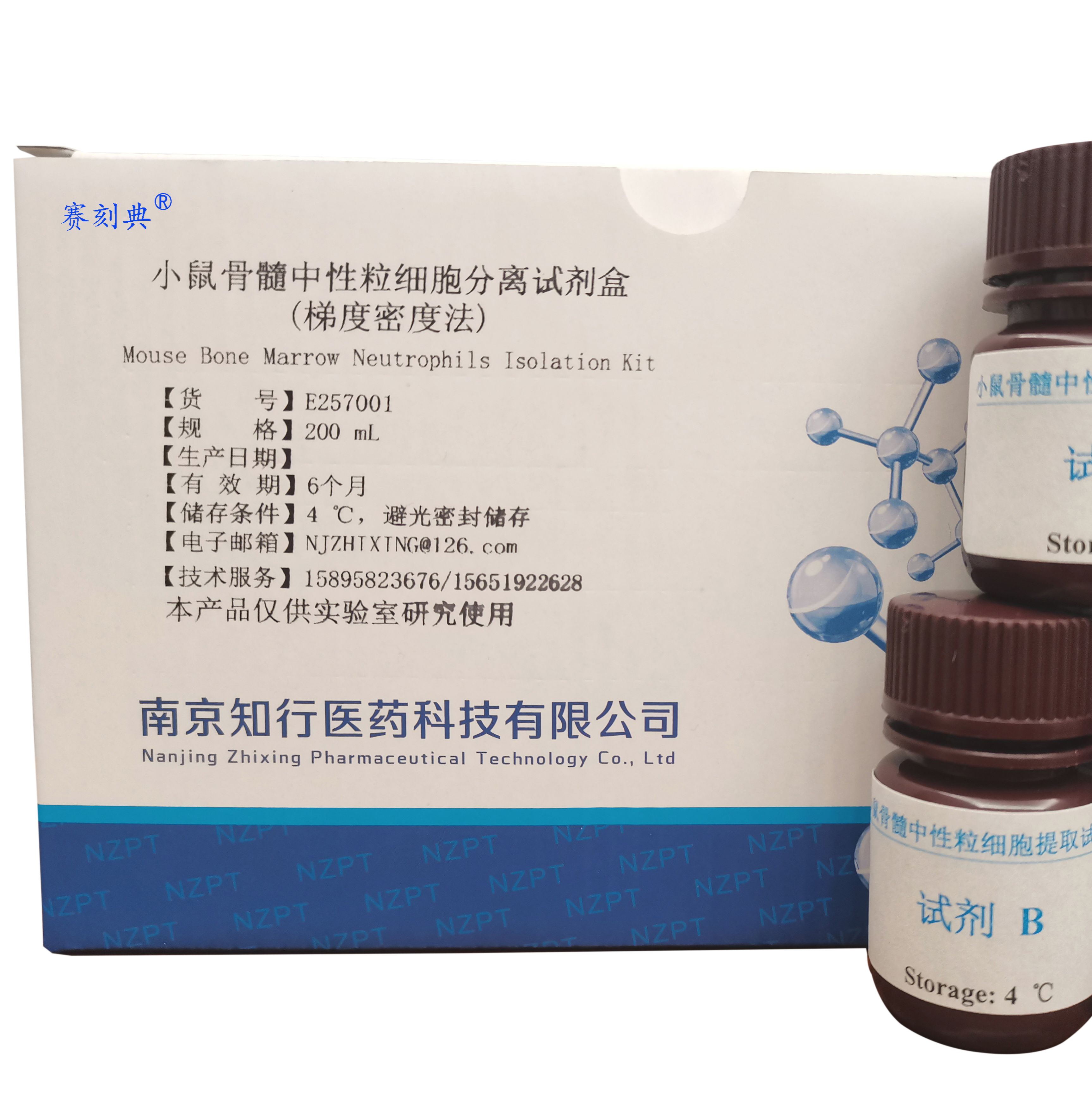 小鼠骨髓中性粒细胞提取试剂盒