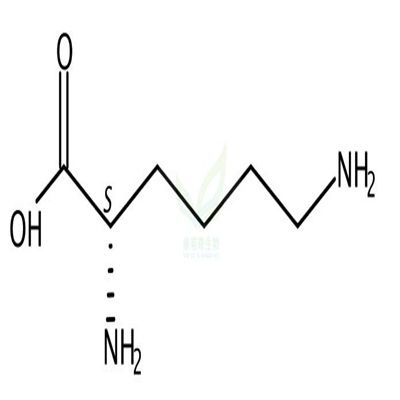 L-赖氨酸  CAS号：56-87-1