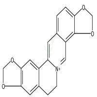 黄连碱  CAS号：3486-66-6