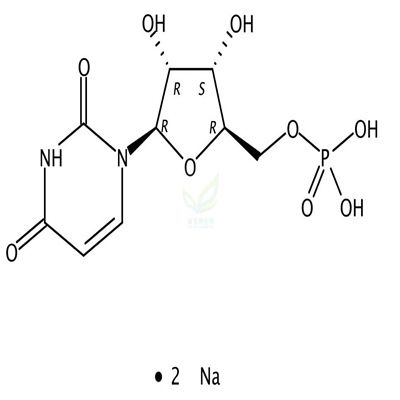 尿苷酸二钠盐  CAS号：3387-36-8