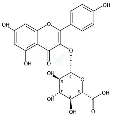 Kaempherol 3-O-β-glucuronide  CAS号：22688-78-4