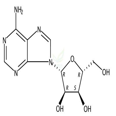 腺苷  CAS号：58-61-7