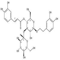 大车前苷  CAS号：104777-68-6