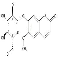 东莨菪苷  CAS号：531-44-2