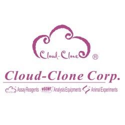 武汉云克隆全线产品