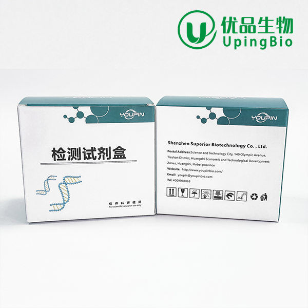 多聚半乳糖醛酸酶(PG)/果胶酶试剂盒