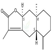 白术内酯II CAS号:73069-14-4
