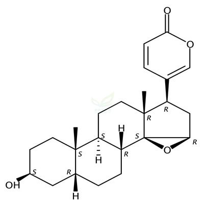 酯蟾毒配基  CAS号：465-39-4