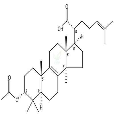 3α-乙酰氧基-羊毛甾-8，24-二烯-21-酸  CAS号：174391-64-1
