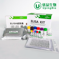 人白介素6受体(IL-6R)ELISA试剂盒
