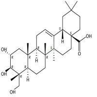 阿江榄仁酸 CAS号:465-00-9