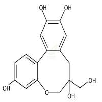 原苏木素B  CAS号：102036-29-3
