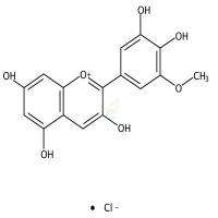 氯化矮牵牛素  CAS号：1429-30-7