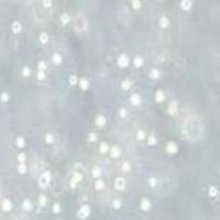 MEG-01 人成巨核细胞白血病细胞