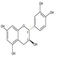 (+/-)-儿茶精  CAS号：7295-85-4