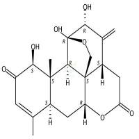 臭椿酮 CAS号:981-15-7