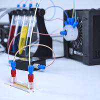 法国Elveflow 微流控细胞培养 细胞灌注培养微流控系统