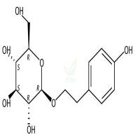 红景天苷  CAS号：10338-51-9