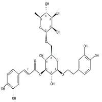 异连翘酯苷  CAS号：1357910-26-9