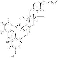 人参皂苷Rg4  CAS号：126223-28-7