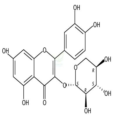 槲皮素-3-O-β-D-木糖甙 