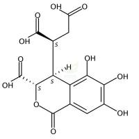 诃子次酸  CAS号：23725-05-5