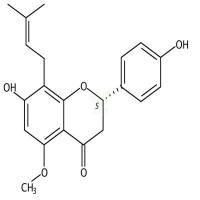 异黄腐醇  CAS号：70872-29-6