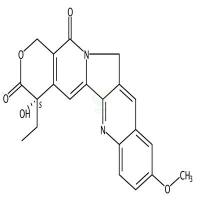 10-甲氧基喜树碱  CAS号：19685-10-0