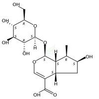 马钱苷酸  CAS号：22255-40-9