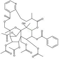 雷公藤次碱  CAS号：11088-09-8