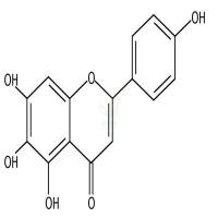 野黄芩素  CAS号：529-53-3
