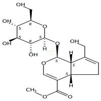 栀子苷  CAS号：24512-63-8