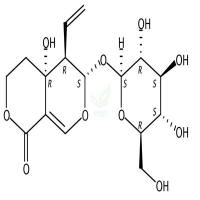 獐牙菜苦苷  CAS号：17388-39-5
