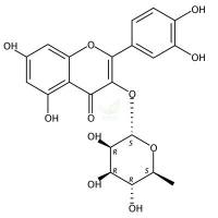槲皮苷 Quercitrin